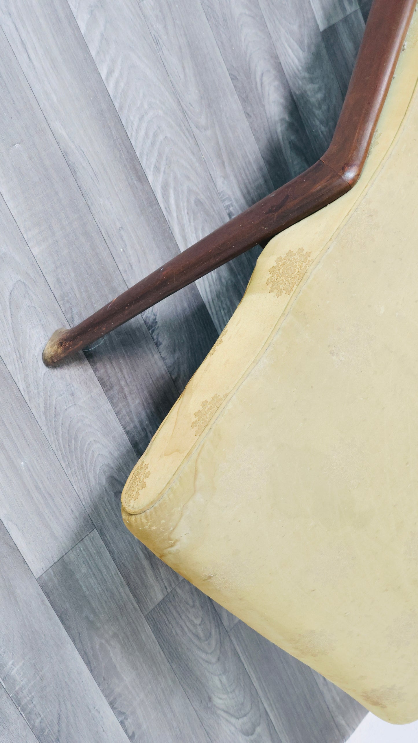 Poltrona di Ico & Luisa Parisi per Ariberto Colombo, anni '50