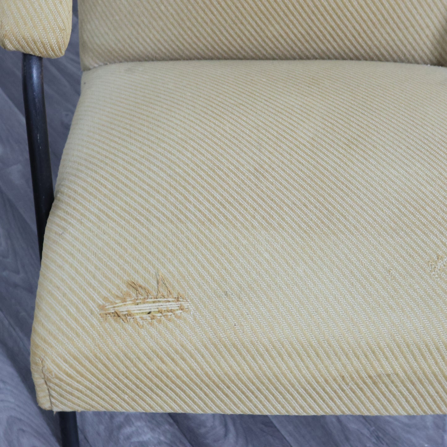 ALF SVENSSON LJUNG INDUSTRIER Coppia Di Poltrone Design Modernariato 1950’s